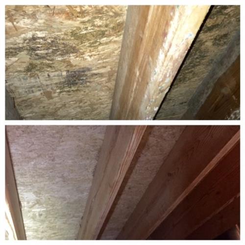Before and After Mold Remediation - Floor Joists/Subfloor