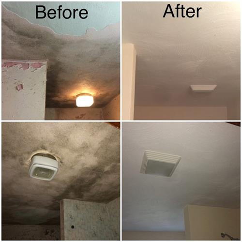 Before and After Mold Remediation - Bathroom 