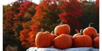 DeWitt's Great Pumpkin Festival