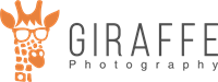 Giraffe Photography