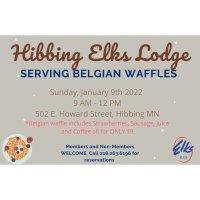 Waffles @Elks Lodge in Hibbing 