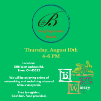 Young Professionals Network at Brandeberry Winery