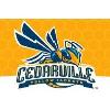 Cedarville University vs Alderson Broaddus Baseball Game