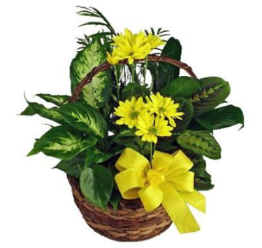 Planter with fresh flowers 