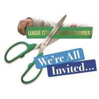 Ribbon Cutting -Pool Scouts Of League City 
