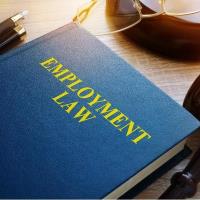 2024 Labor Law Update: "Employment Law Issues and Solutions"