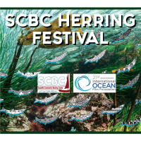 SCBC Herring Festival