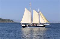 Saint Patrick's Day 2024 - Afternoon Sail on San Francisco Bay