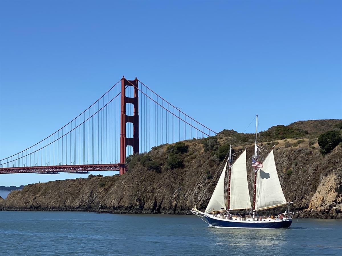 Marine Wildlife and Ecology Sail on San Francisco Bay - Oct 5, 2025 ...