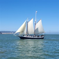 Sunday Wildlife Sail under the Golden Gate Bridge