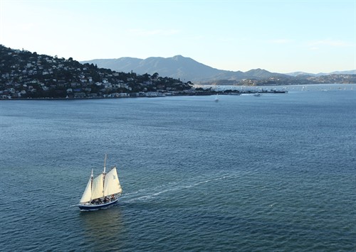 Gallery Image Sailing_Sausalito_Schooner_Freda_B.jpg
