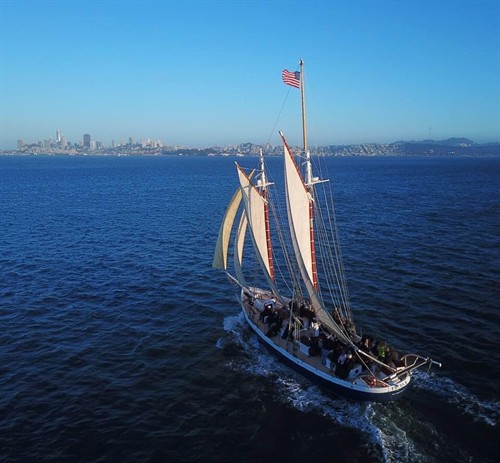 Gallery Image Sailing_on_San_Francisco_Bay_Freda_B.JPG
