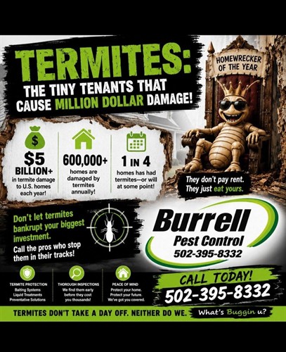 TERMITES THE TINY TENANTS