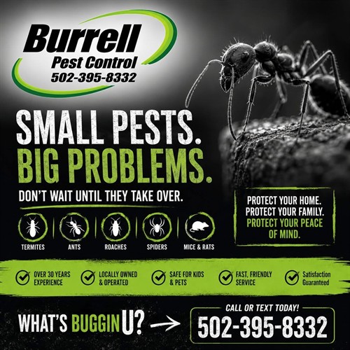 DON'T WAIT SMALL PEST BIG PROBLEMS