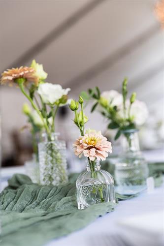 Gallery Image 595202967_122108877597097261_223678258231500301_n.jpg