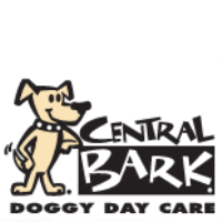 Carneval at Grand Opening Central Bark Doggy Day Care