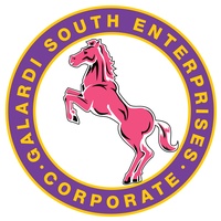 Galardi South Enterprises and Consulting Inc