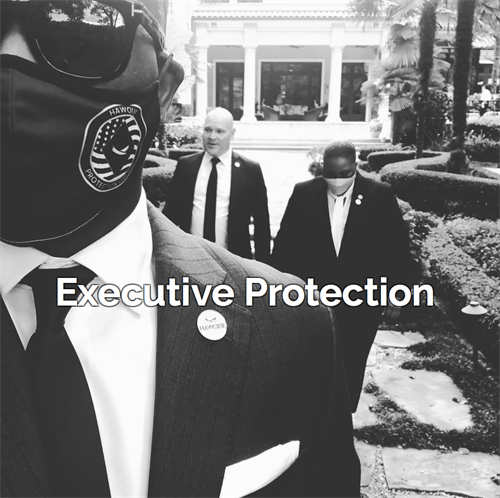 Personal Protection (BodyGuard)