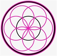 Pink Business Advisors, LLC