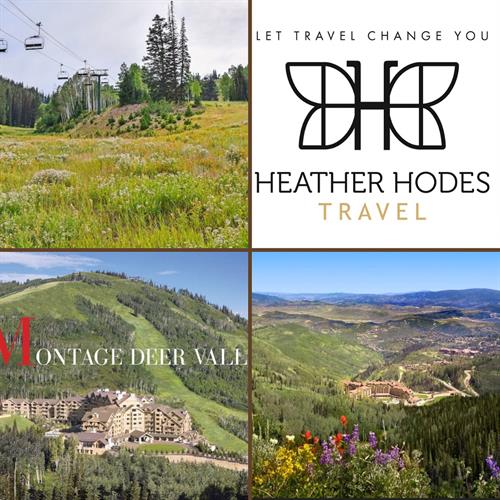 Gallery Image 7B4B6897-08CE-4636-AA4F-F96B10523109.jpeg Gallery Image 7B4B6897-08CE-4636-AA4F-F96B10523109.jpeg