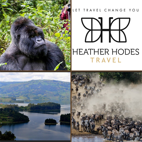 Gorilla Trekking in Uganda and The Great Migration in Kenya Booking