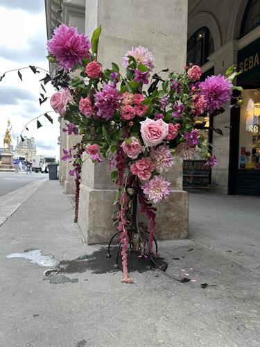 Gallery Image IMG_0284.jpeg