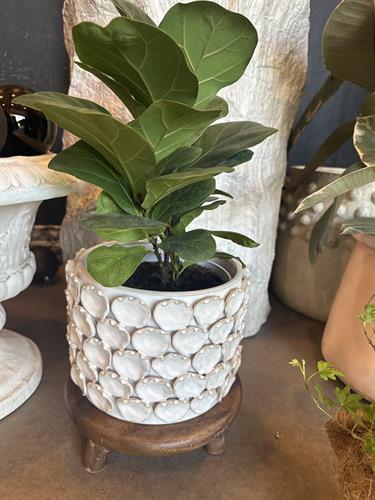 Gallery Image IMG_0477.jpeg