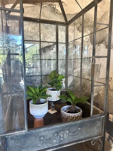 Gallery Image IMG_0866.jpeg