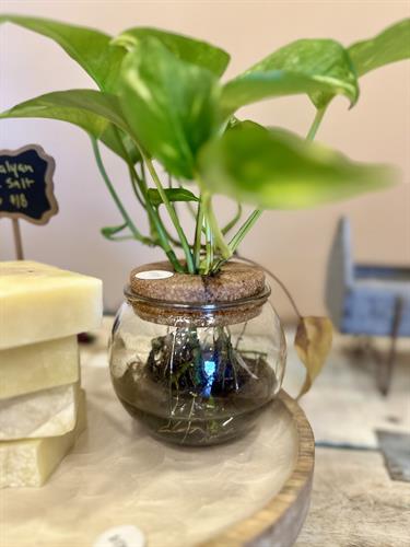 Gallery Image IMG_0884.jpeg