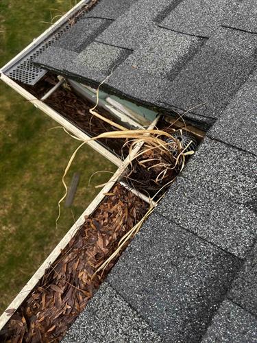 Rannebarger Home Maintenance - Gutter and Downspout Cleaning