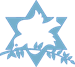 Community Hanukkah Celebration
