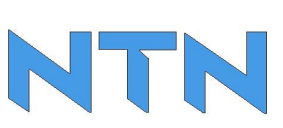 NTN Driveshaft Inc.