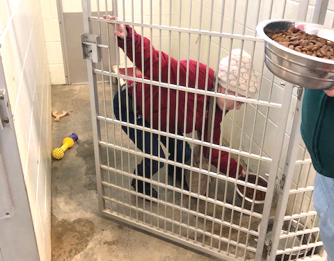 Brighid is busy during feeding time at the Bartholomew County Humane Society.