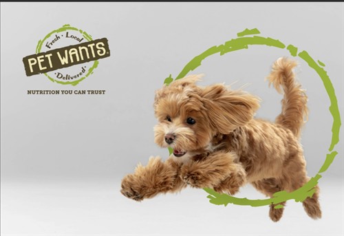 Pet Wants happiness