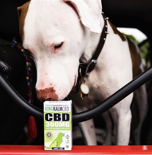 CBD for dogs