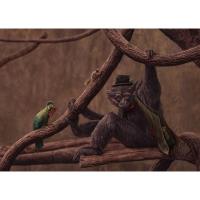 Dana Rose -  Storytelling Photography and Illustrative Art