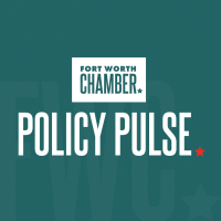 Policy Pulse: Demystifying the 2024 Election