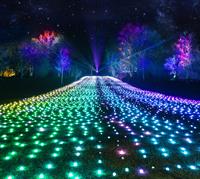 LIGHTSCAPE RETURNING TO FORT WORTH BOTANIC GARDEN FOR 2024 HOLIDAY SEASON