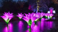 INTERNATIONALLY ACCLAIMED ‘LIGHTSCAPE’ COMING TO  FORT WORTH BOTANIC GARDEN FOR 2022 HOLIDAY SEASON