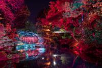 LIGHTSCAPE RETURNS TO FORT WORTH NOV. 17 - JAN. 1 FEATURING ALL-NEW ILLUMINATED INSTALLATIONS FROM AROUND THE WORLD