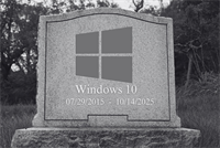Using Windows 10? Your business could be at risk