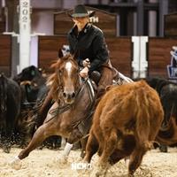 NCHA Great American Insurance Group Summer Cutting Spectacular