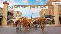 The Annual Cowtown Lunch Social