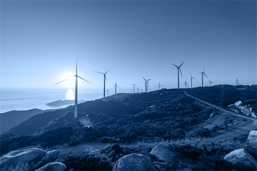 Gallery Image Wind_Farm_13.png