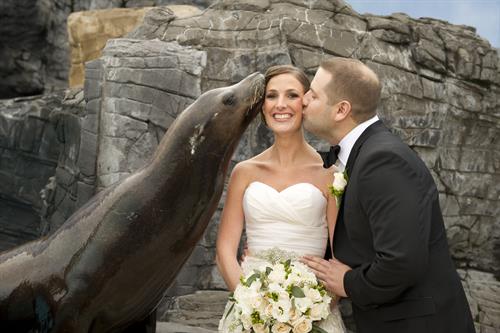 Sea Lion Kiss @ Long Island Aquarium