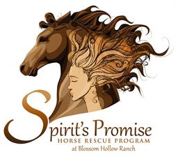 Spirits Promise