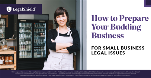 Gallery Image 37_25480_How_to_Prepare_Your_Budding_Business_for_Small_Business_Legal_Issues_041321.png