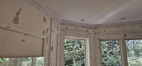 Gallery Image 1000000332.jpg