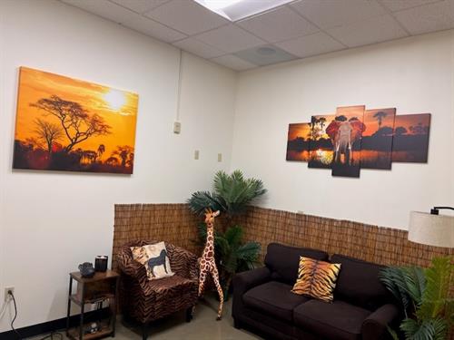 Safari Themed Therapy Room