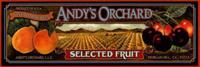 Andy's Orchard